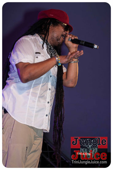 reggae_on_the_bay_2014-108