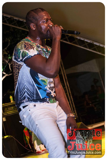 reggae_on_the_bay_2014-120