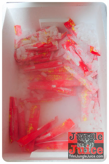 roast_cruise_2014_pt1-080