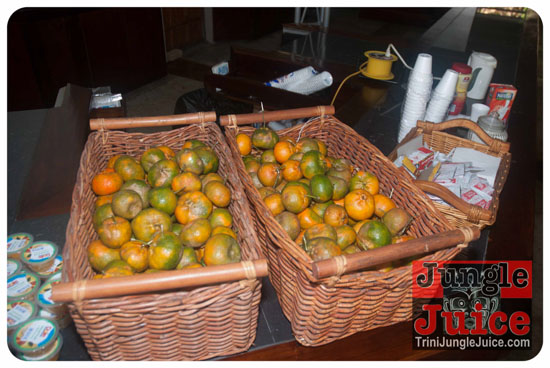 silent_morning_2014-011