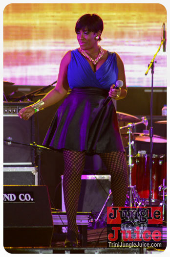 world_music_night_2014-016