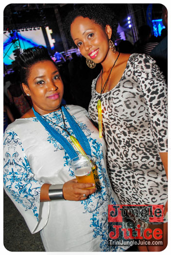 world_music_night_2014-042