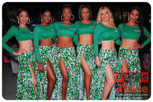 world_music_night_2014-091