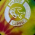 pure_lime_chocolate_pt3-077