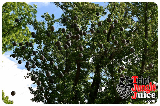 sauce_day_fete_may31-057