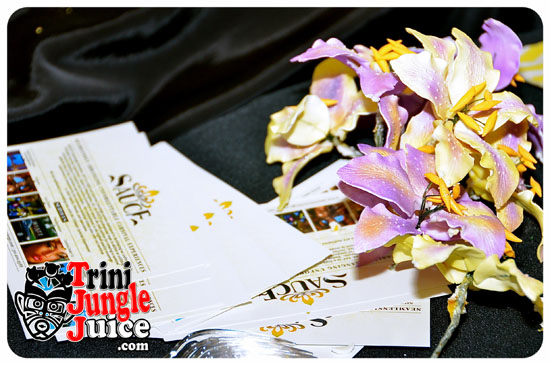 sauce_day_fete_may31-148